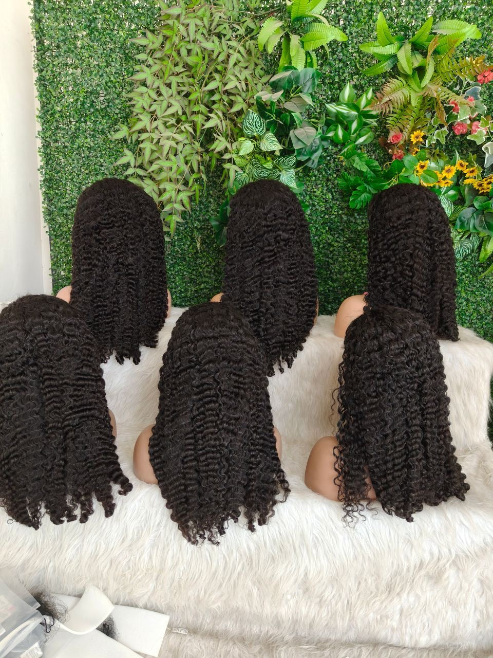 Burmese Curly