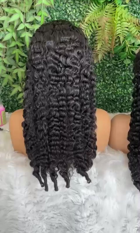 Burmese Curly